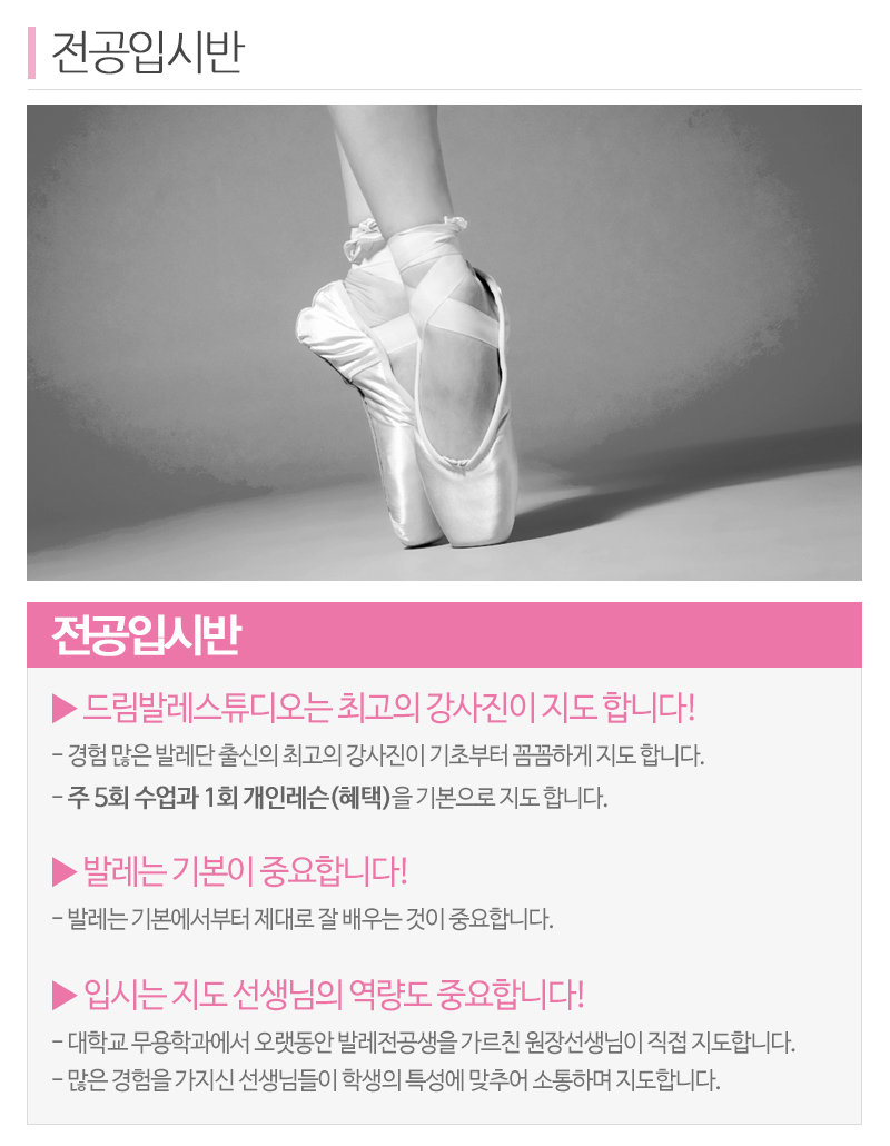 드림발레스튜디오_내용