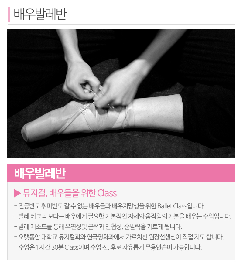 드림발레스튜디오_내용