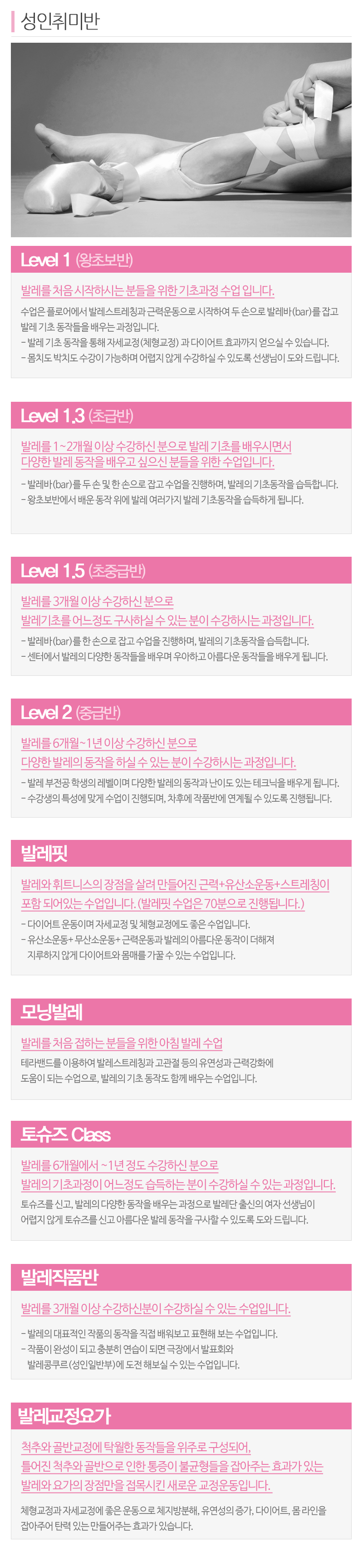 드림발레스튜디오_내용